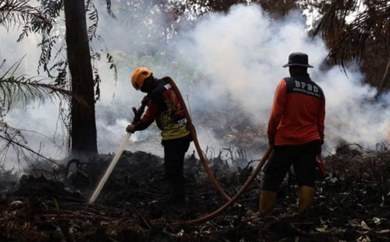 Tuding Oknum Investor Sengaja Bakar Hutan, Petrus Natalis Bela Peladang Dayak Soal Karhutla