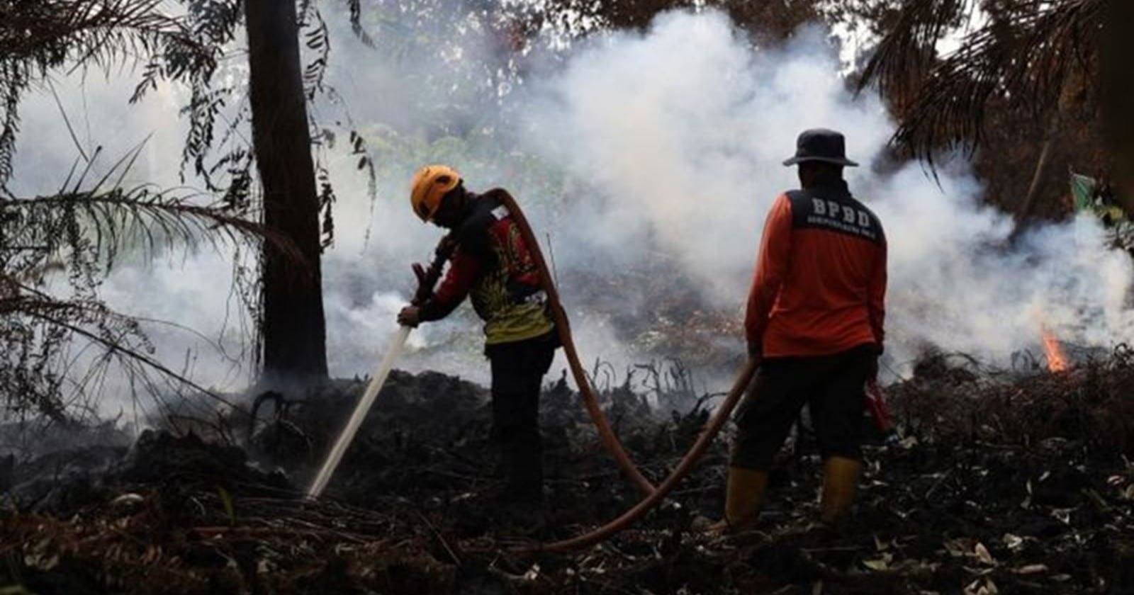 Tuding Oknum Investor Sengaja Bakar Hutan, Petrus Natalis Bela Peladang Dayak Soal Karhutla