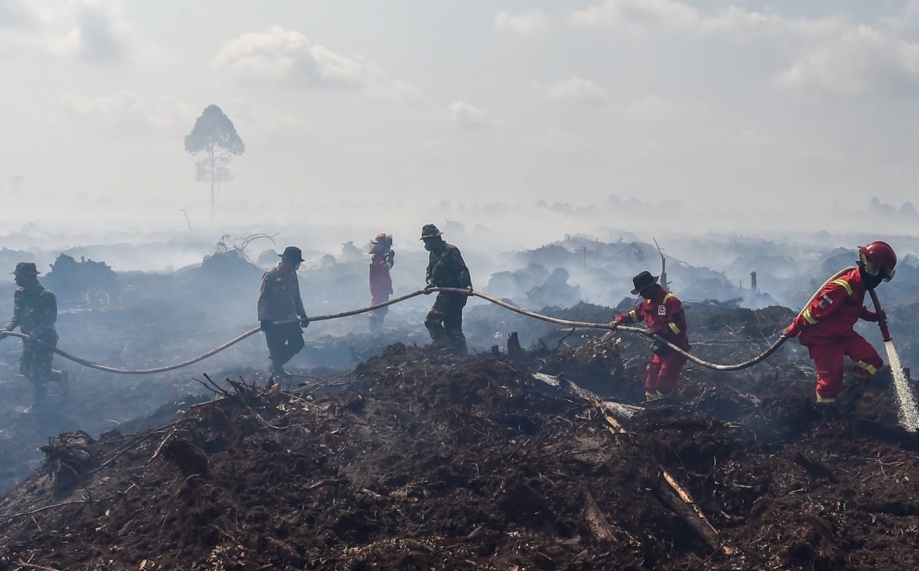 Turun Langsung Cek Karhutla di Kalimantan, Prabowo Minta Tindak Tegas Setiap Pelanggar Hukum!