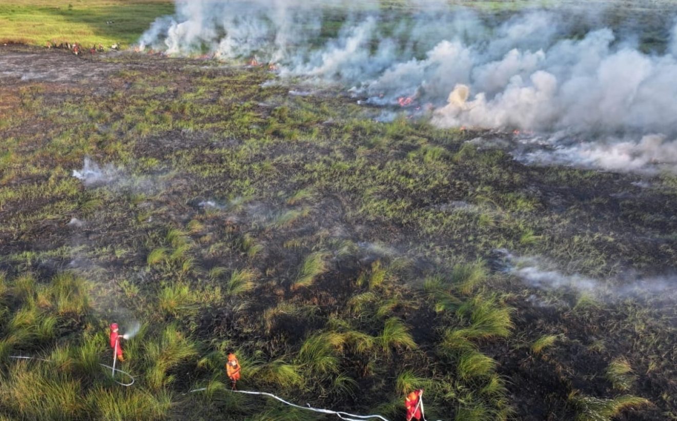 Kalimantan Dikepung 1.487 Titik Panas, DPR Ingat Pemerintah Karhutla 1997 Jangan Terulang