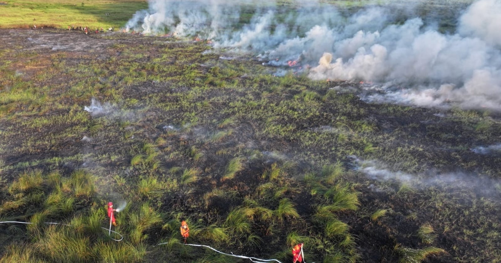 Kalimantan Dikepung 1.487 Titik Panas, DPR Ingat Pemerintah Karhutla 1997 Jangan Terulang