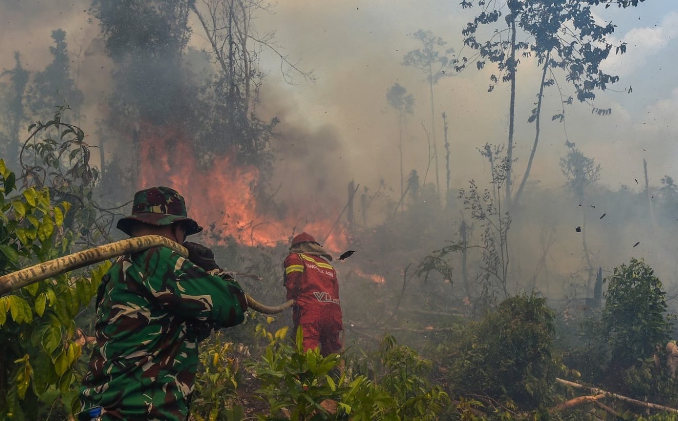 Kabut Asap Karhutla Kalimantan Ganggu Negara Tetangga, Mensesneg Bilang Begini