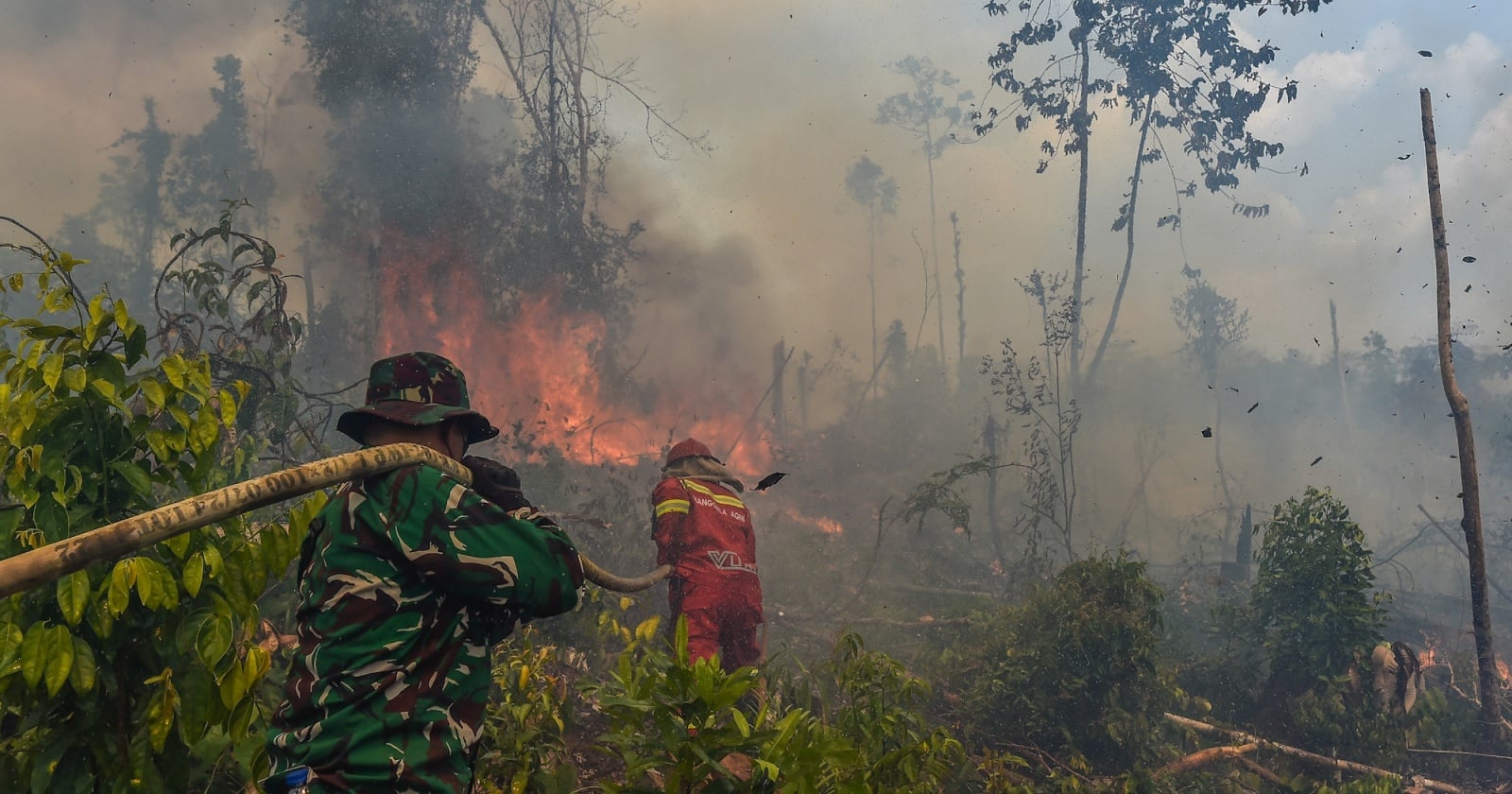 Kabut Asap Karhutla Kalimantan Ganggu Negara Tetangga, Mensesneg Bilang Begini