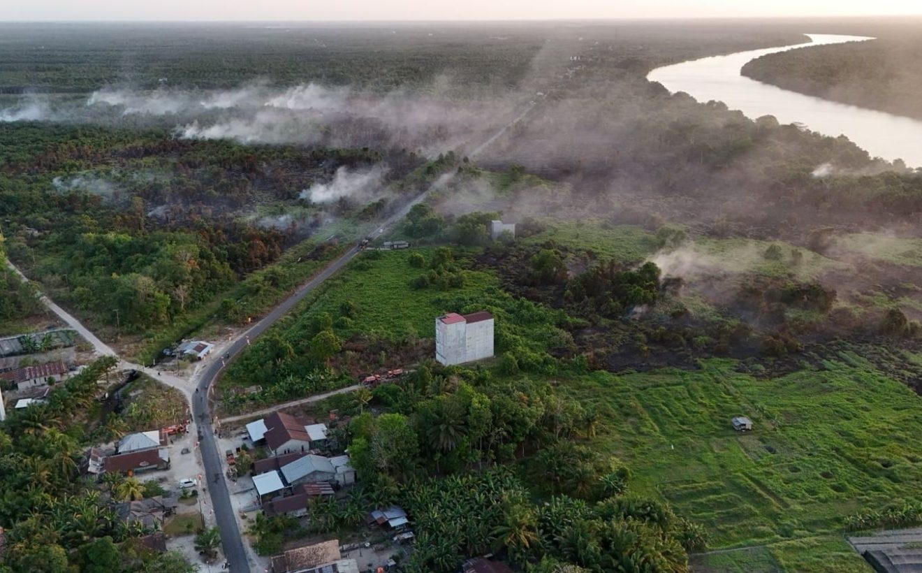 Persoalan Karhutla di Kalimantan, Pakar Kehutanan: Jangan Bikin Panik Masyarakat