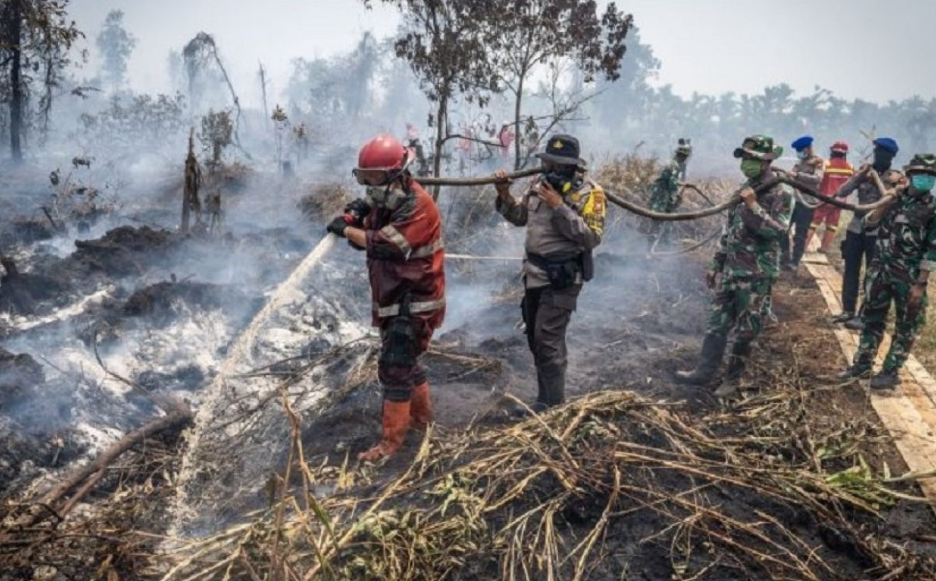 Sumbar Dikepung Asap Karhutla dari Jambi dan Riau! Warga Diimbau Pakai Masker Demi Kesehatan