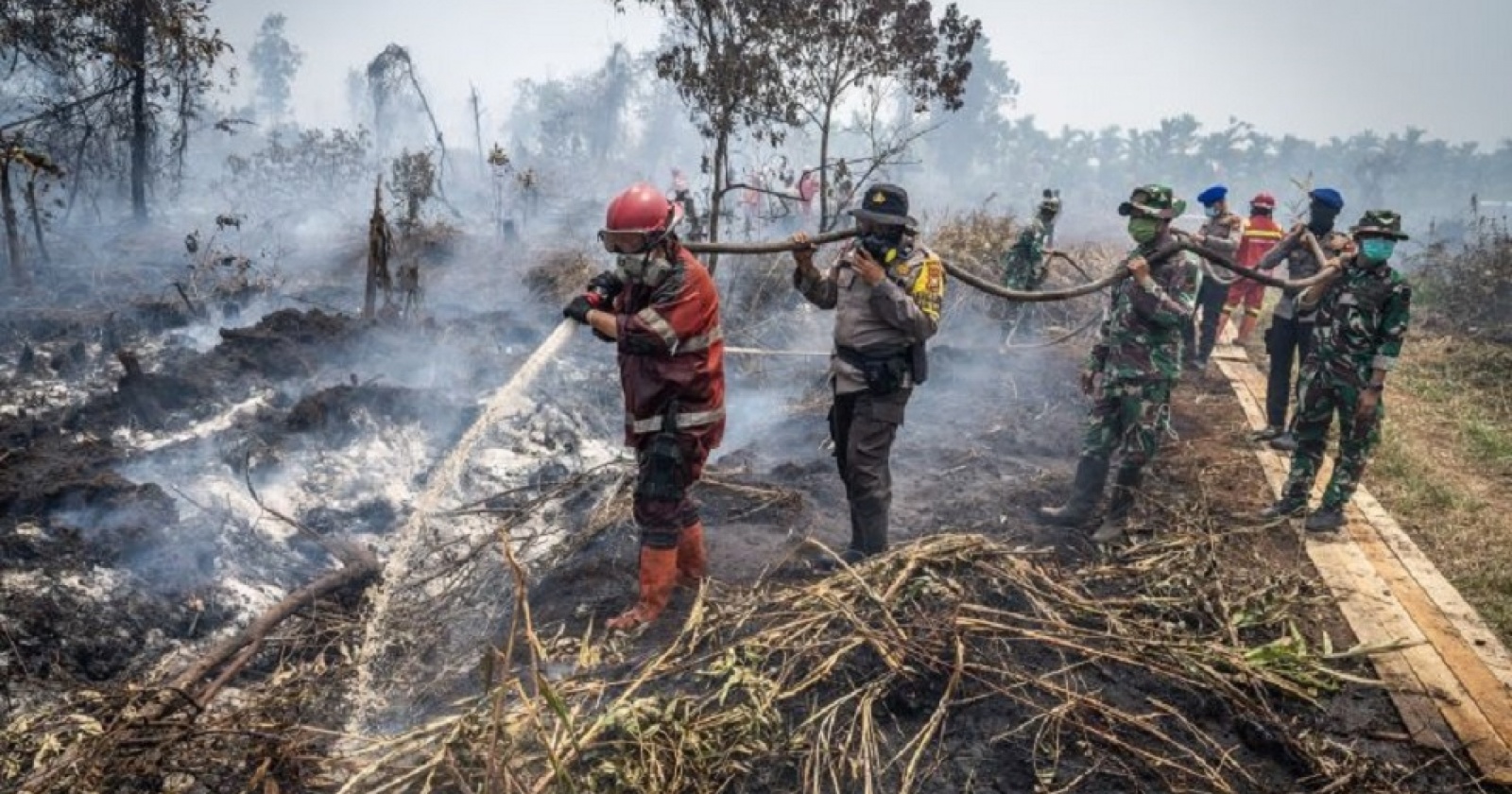 Sumbar Dikepung Asap Karhutla dari Jambi dan Riau! Warga Diimbau Pakai Masker Demi Kesehatan