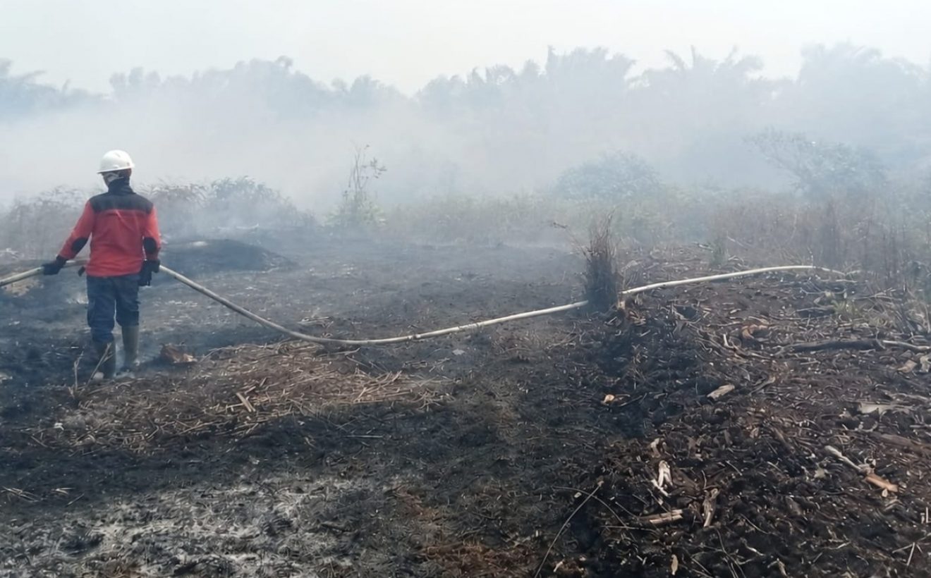 Kesiapsiagaan Karhutla Berbasis Sains Diperkuat Jelang Puncak Kemarau