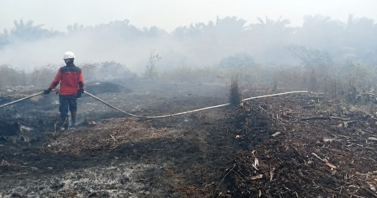 Kesiapsiagaan Karhutla Berbasis Sains Diperkuat Jelang Puncak Kemarau