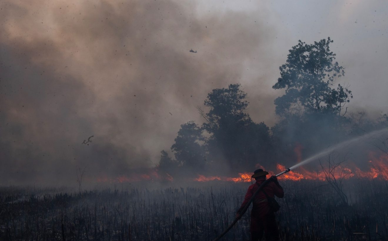 Asap Karhutla Disebut Meluas hingga ke Vietnam, Kemenhut Cek Asal Sumbernya