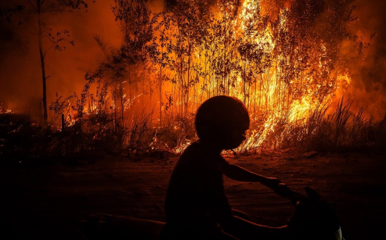 Media Asing Sorot Kebakaran Hutan Indonesia Sumbang Emisi Tertinggi Dunia