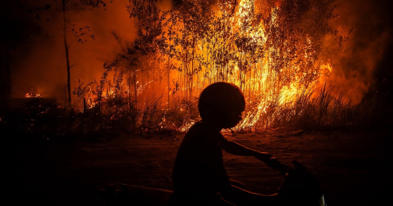 Media Asing Sorot Kebakaran Hutan Indonesia Sumbang Emisi Tertinggi Dunia