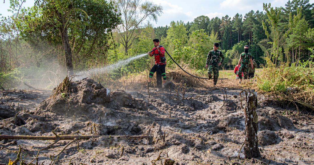 202 Ribu Hektare Lahan Terbakar! 20 Konsesi Kena Sanksi Akibat Karhutla