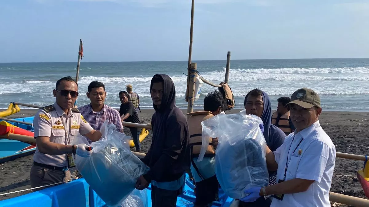 Dua Koper Bikin Curiga! Petugas YIA Gagalkan Penyelundupan Ribuan Benih Lobster ke Batam