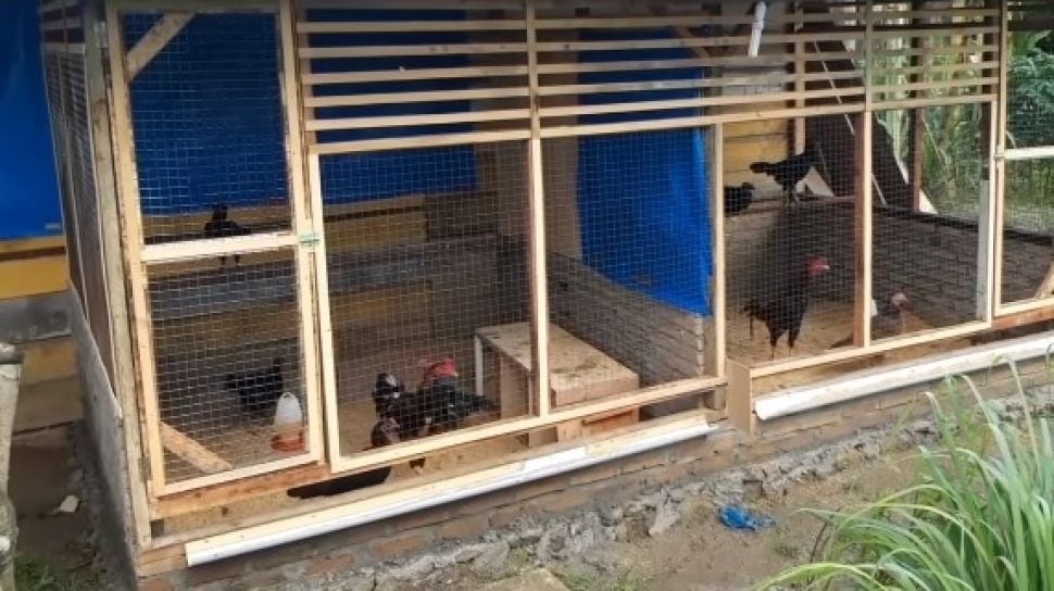Sabu 51,58 Gram Disembunyikan di Bawah Kandang Ayam, Tiga Pria di NTB Ditangkap