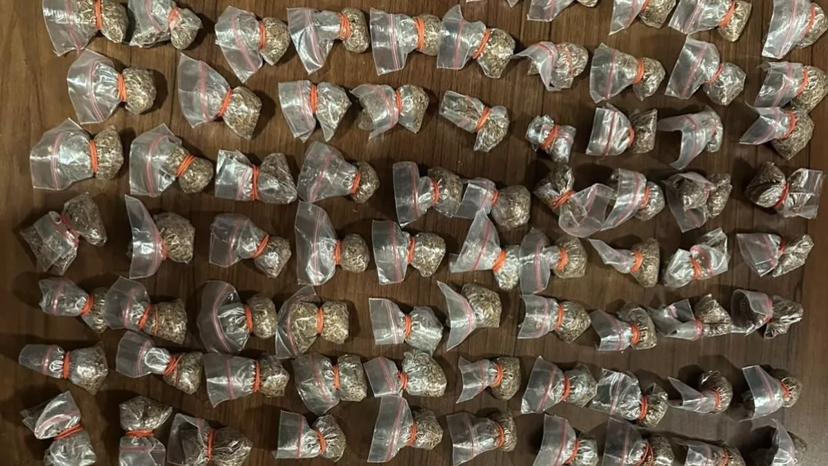 Gerebek Apartemen Springwood Tangerang, Polisi Temukan Setengah Kilogram Lebih Tembakau Sintetis!