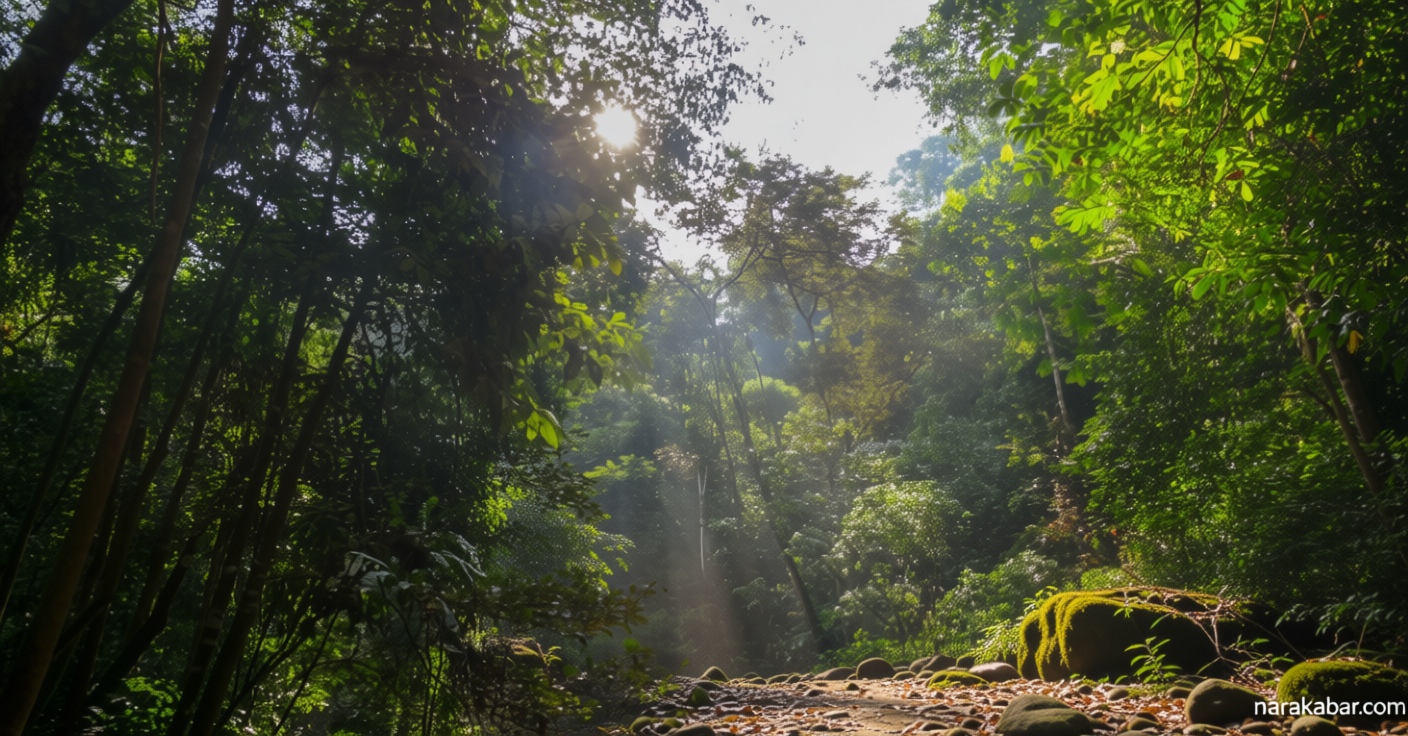 Latest Program: Hutan Tropis Dianggap Penyerap Karbon Utama, Tapi Penelitian Baru Tunjukkan Hal Berbeda