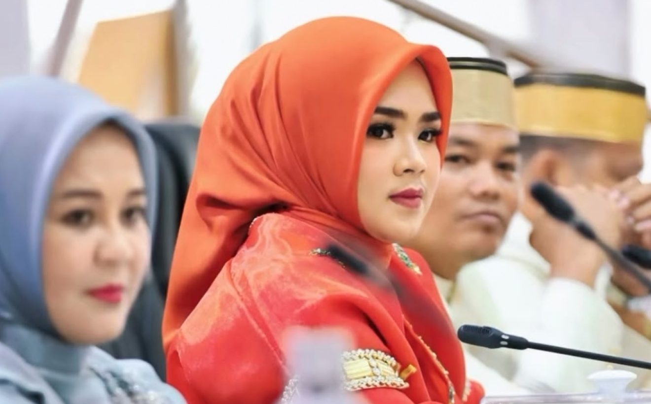 Profil Andi Tenri Walinonong, Ketua DPRD Bone Perempuan Pertama yang Viral Diduga Aniaya Staf