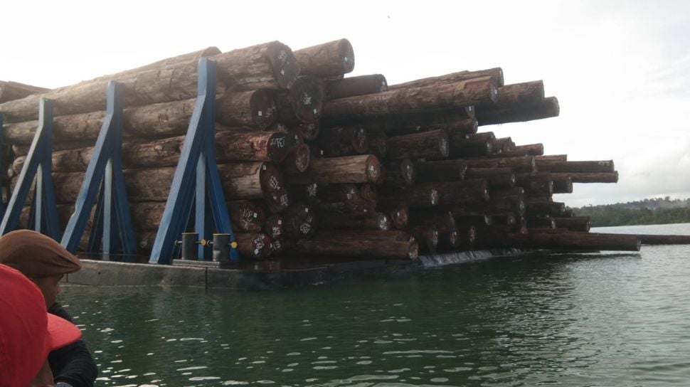 Special Plan: Pengawas Sawmill Ilegal di Kampar Jadi Tersangka, Terancam Denda Rp2,5 Miliar