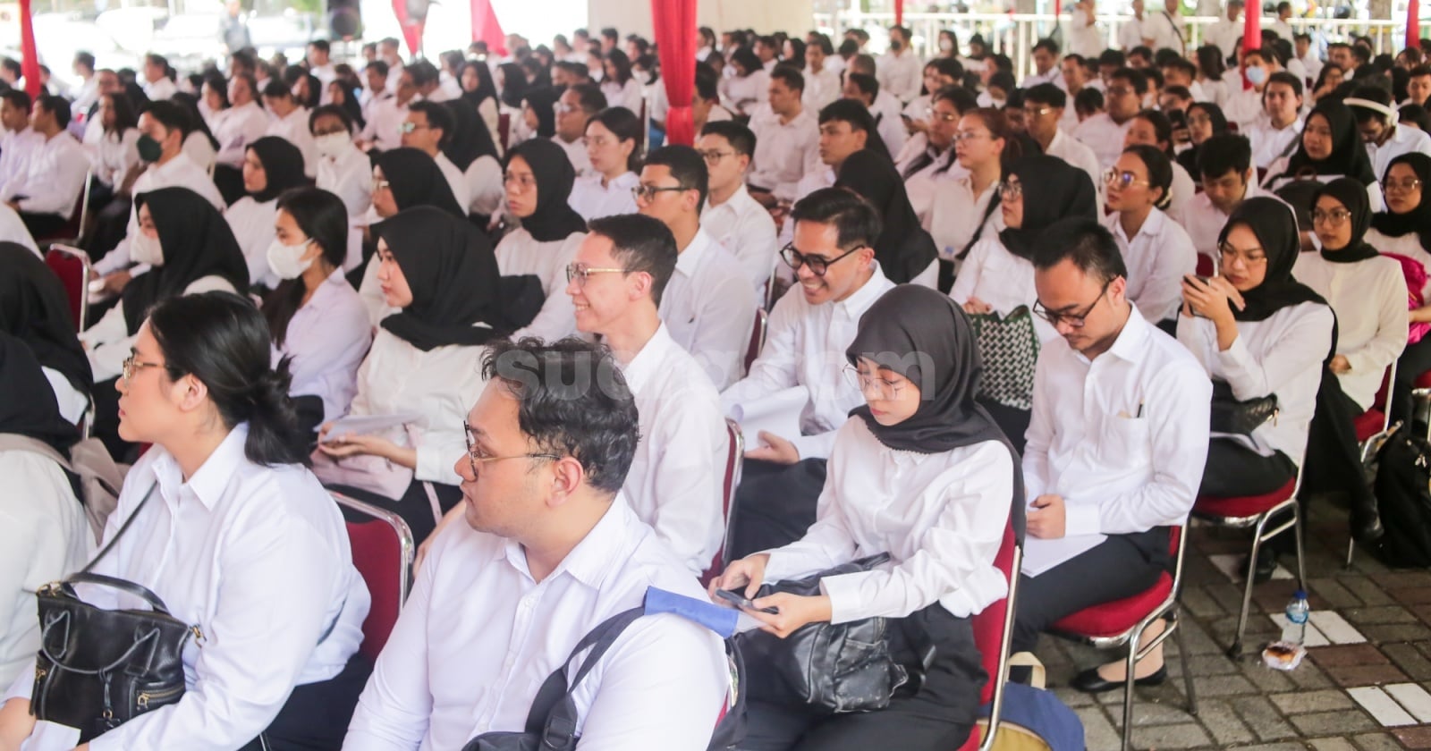 Link CPNS 2026 Viral, Publik Diminta Waspada Penipuan Modus Menyamar Ala BKN