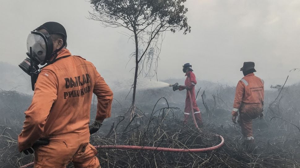 Solution For: Kebakaran Lahan Gambut di Aceh Selatan Meluas Jadi 25 Hektare, Api Masih Menyala