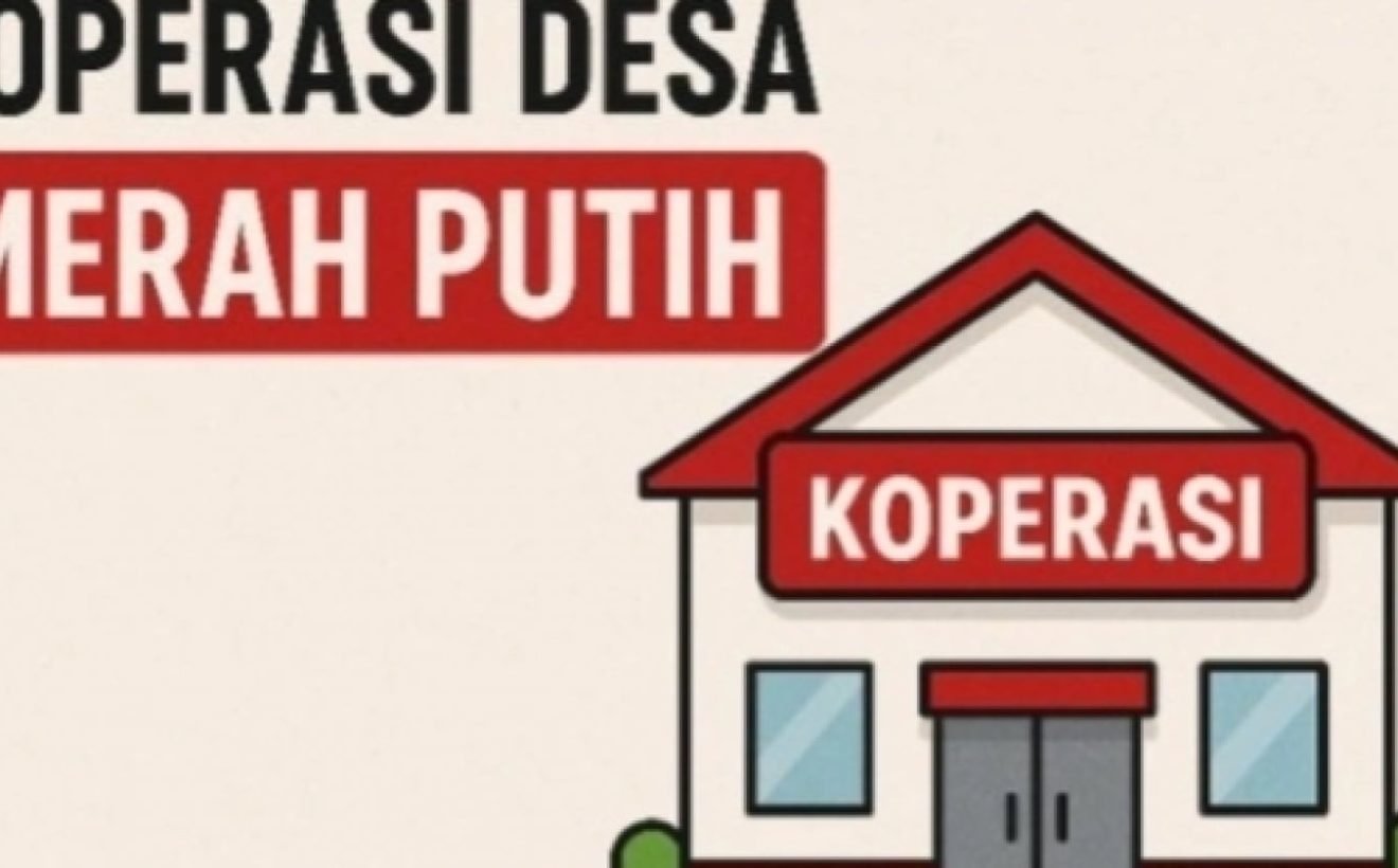 Calon Manajer Koperasi Merah Putih Didominasi Perempuan – Capai 60 Persen!