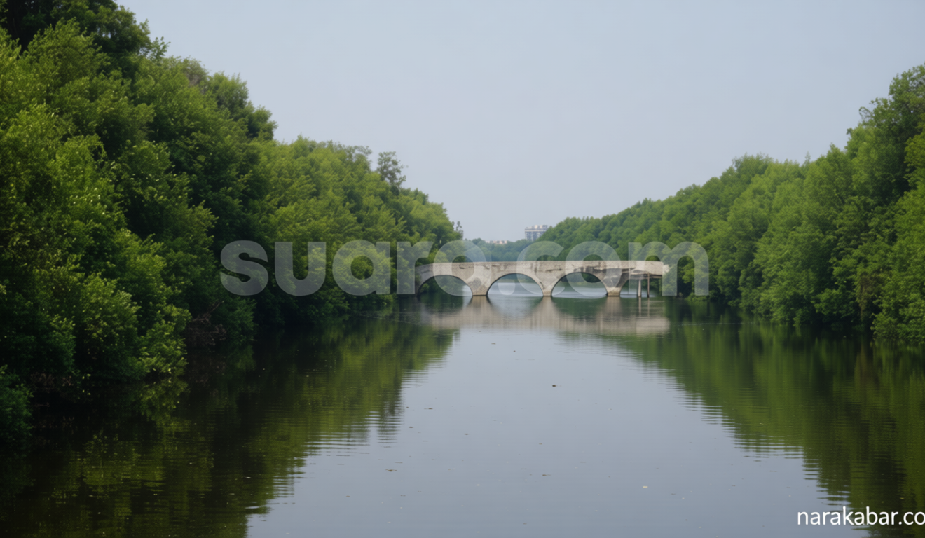 Pembangunan Pesat PIK Bayangi Upaya Selamatkan Mangrove Pesisir Jakarta