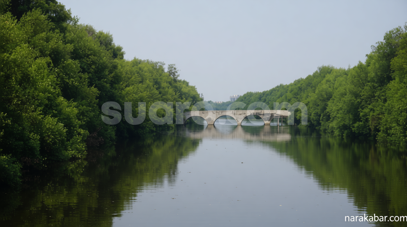 Pembangunan Pesat PIK Bayangi Upaya Selamatkan Mangrove Pesisir Jakarta