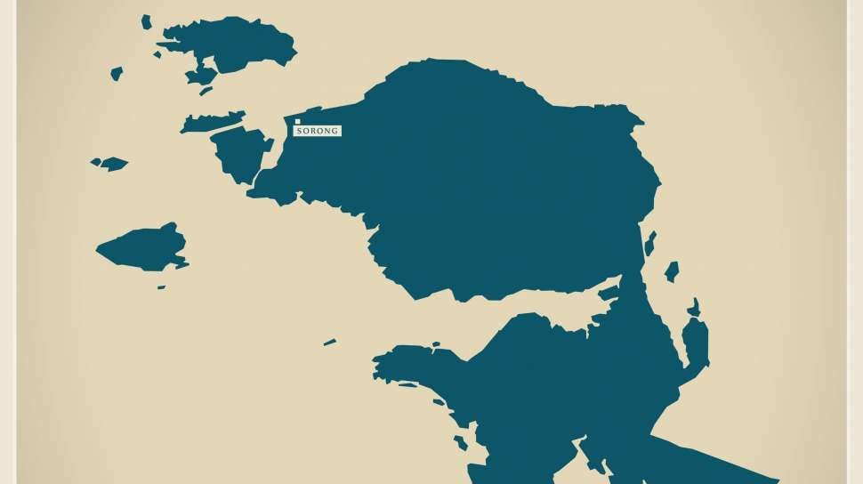 Special Plan: Amnesty Kritik Pemekaran Papua: Negara Hanya Dengar Mereka yang Setuju Saja