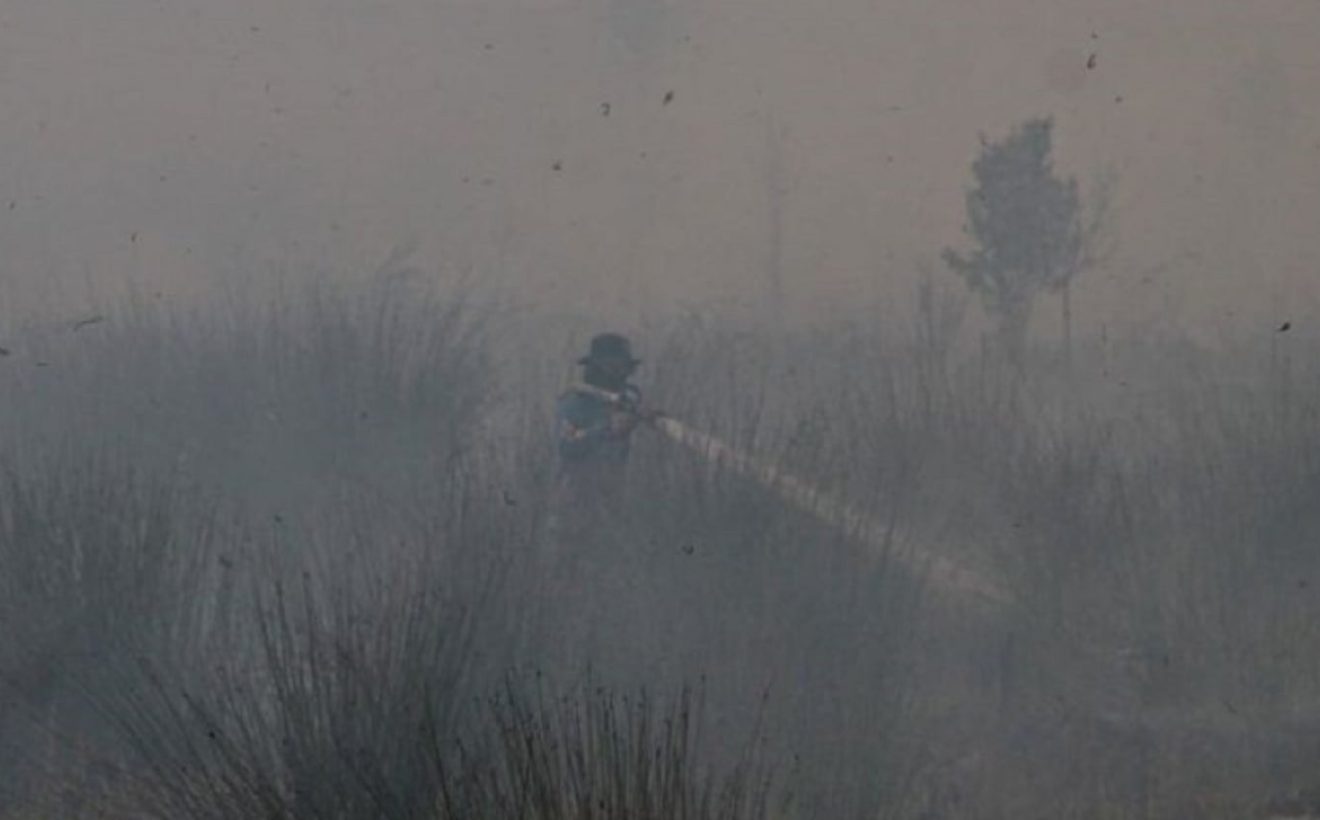 336 Karhutla Terjadi di Palangka Raya! 428,46 Hektare Lahan Ludes Selama 3 Bulan