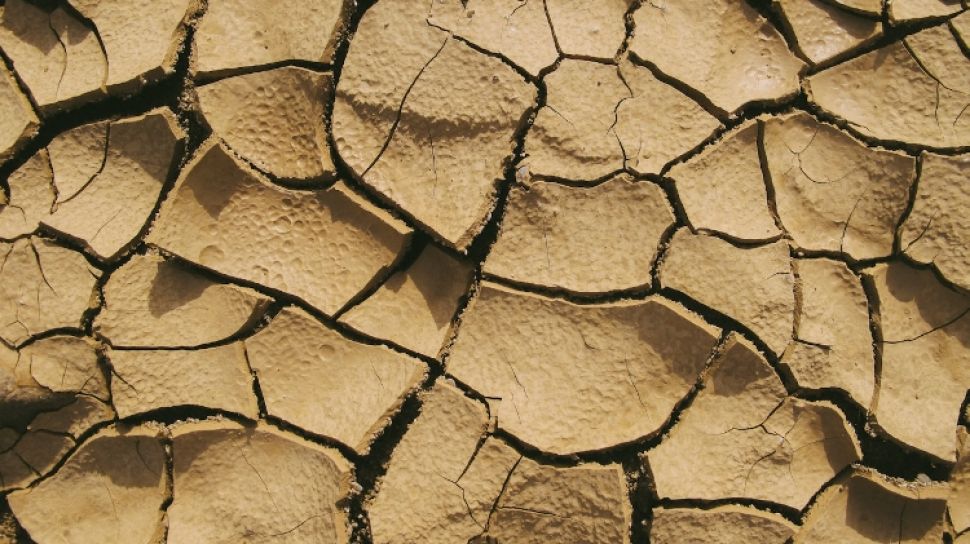 El Nino 2026 Lampaui Level Kuat, Abdul Azis Desak Pemerintah Serius Atasi Kekeringan
