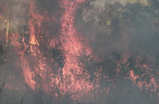 336 Karhutla Melanda Palangka Raya, Jekan Raya Jadi Wilayah Terparah