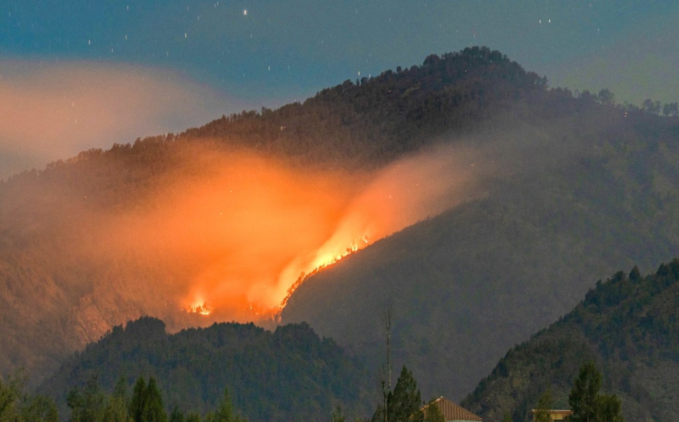 Karhutla Gunung Semeru Padam, Lebih dari 3.000 Hektare Area Terdampak
